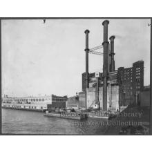 Domino, 1928 Thumbnail