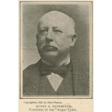 Henry O. Havemeyer Thumbnail