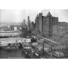 Domino, 1905 Thumbnail